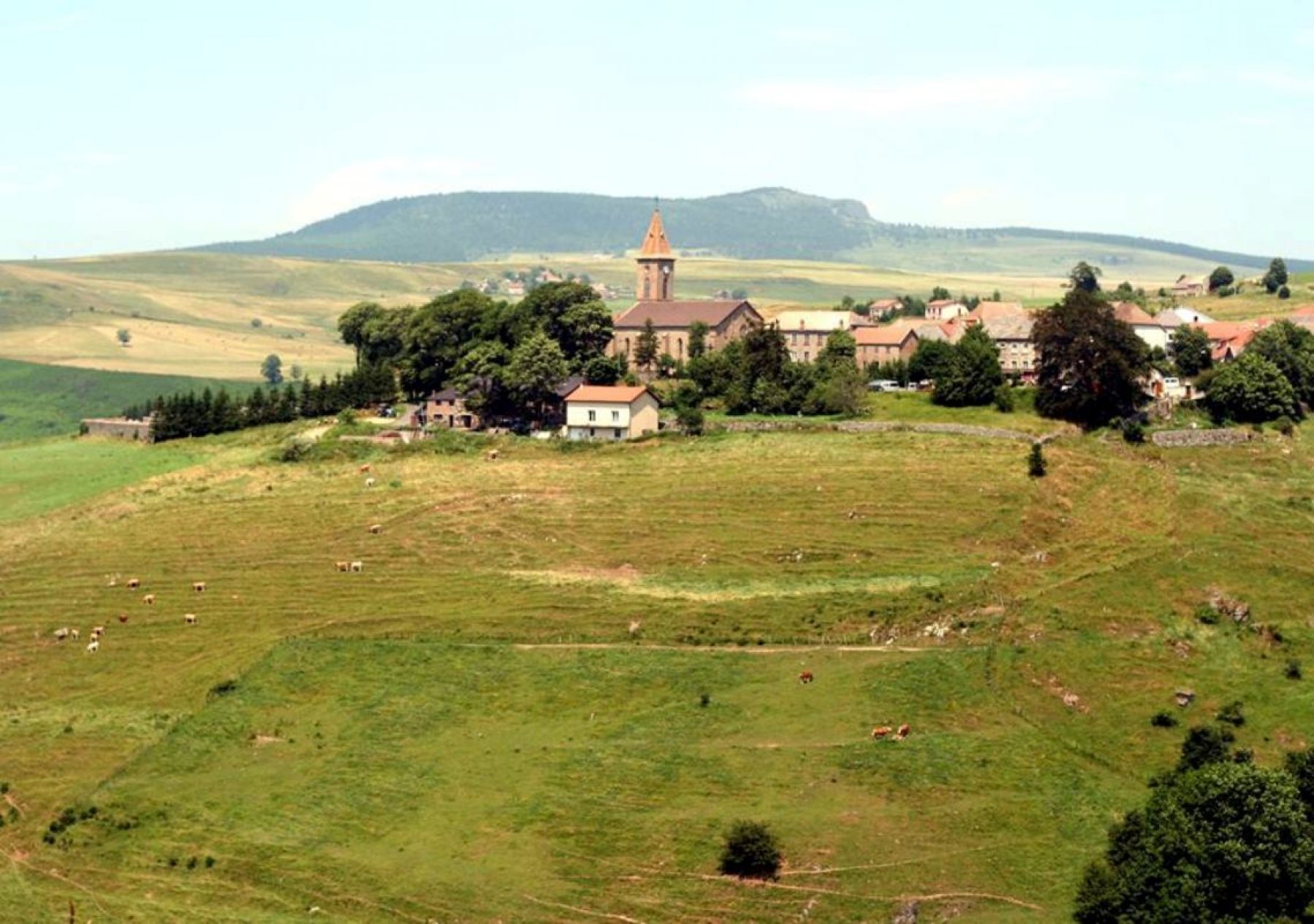 Le Cherchemuse - Le Panoramic