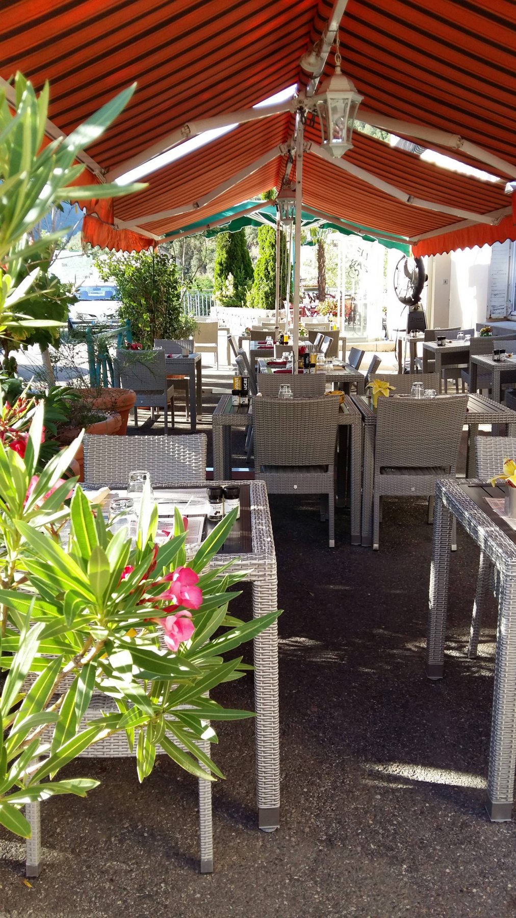 Les Marronniers